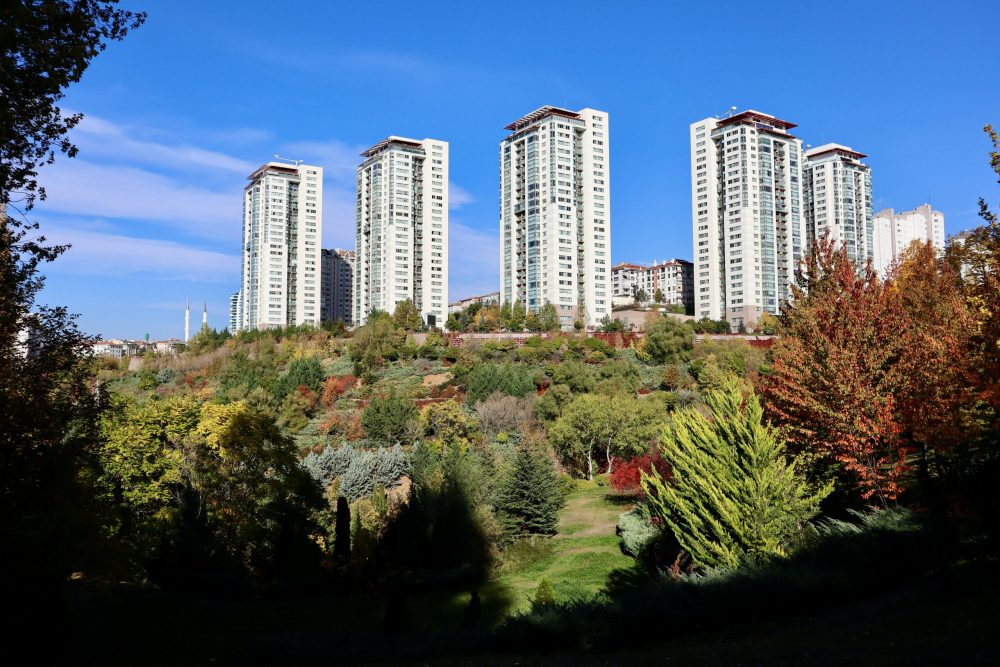 Grupo MDay: desarrollos inmobiliarios a puro bienestar e impacto positivo