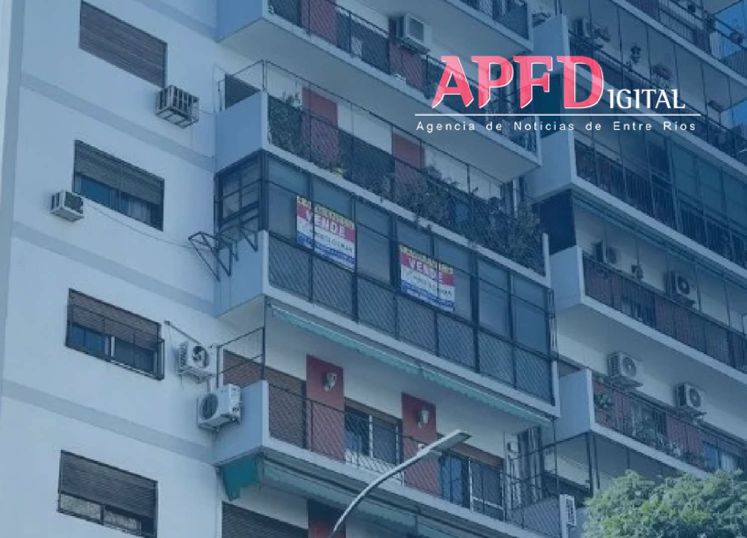 Desregulación inmobiliaria: competencia provincial, honorarios y la postura de CAMESI